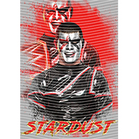 idol singer-GS  2457